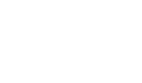 Eurospin Logo